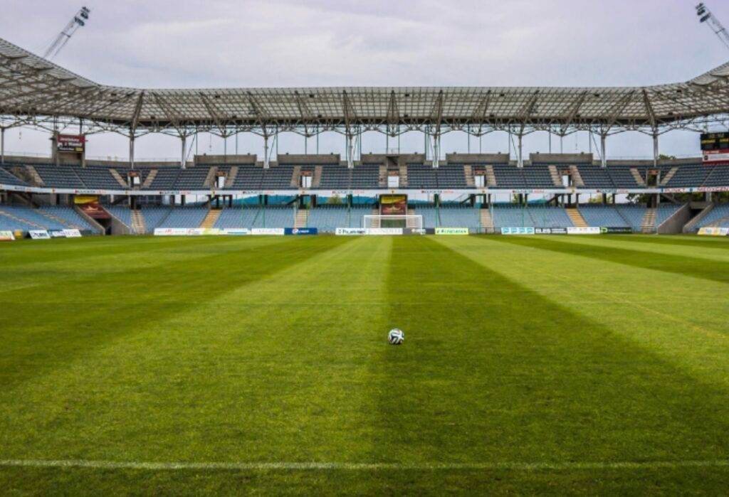 hybrid grass in stadium