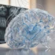 AI brain waste study maps glymphatic flow in mice.