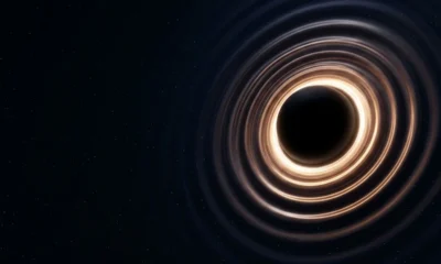 black hole ringdown spectroscopy quasinormal modes gravitational wave test