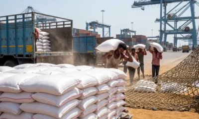 India sugar imports duty free record prices Kolhapur 2026
