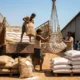 India sugar stock limit bulk consumers 15 days ethanol