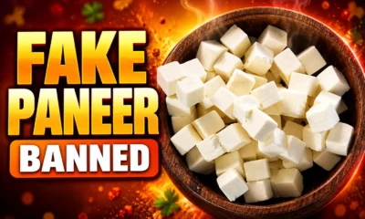 Zomato bans analogue paneer dishes partners flagged