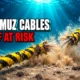 Iran Hormuz undersea cables Gulf internet threat