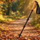 nature-based social prescribing Barcelona loneliness trial results